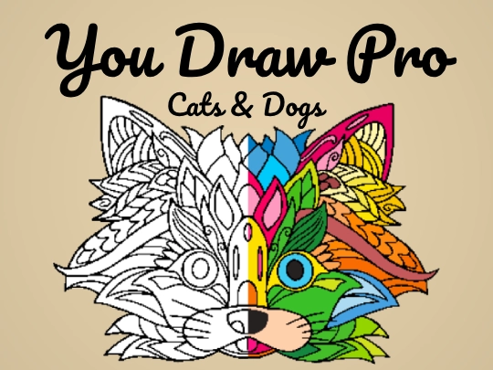 You Draw Pro poster